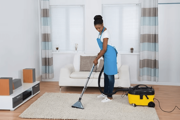 Top 5 Reasons to Hire a Professional Carpet Cleaner?